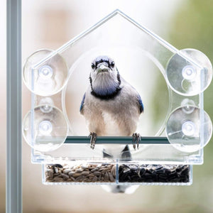 Creative Simple Transparent House Acrylic Bird Feeder